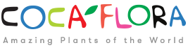 Logo Sklep z roślinami CocaFlora